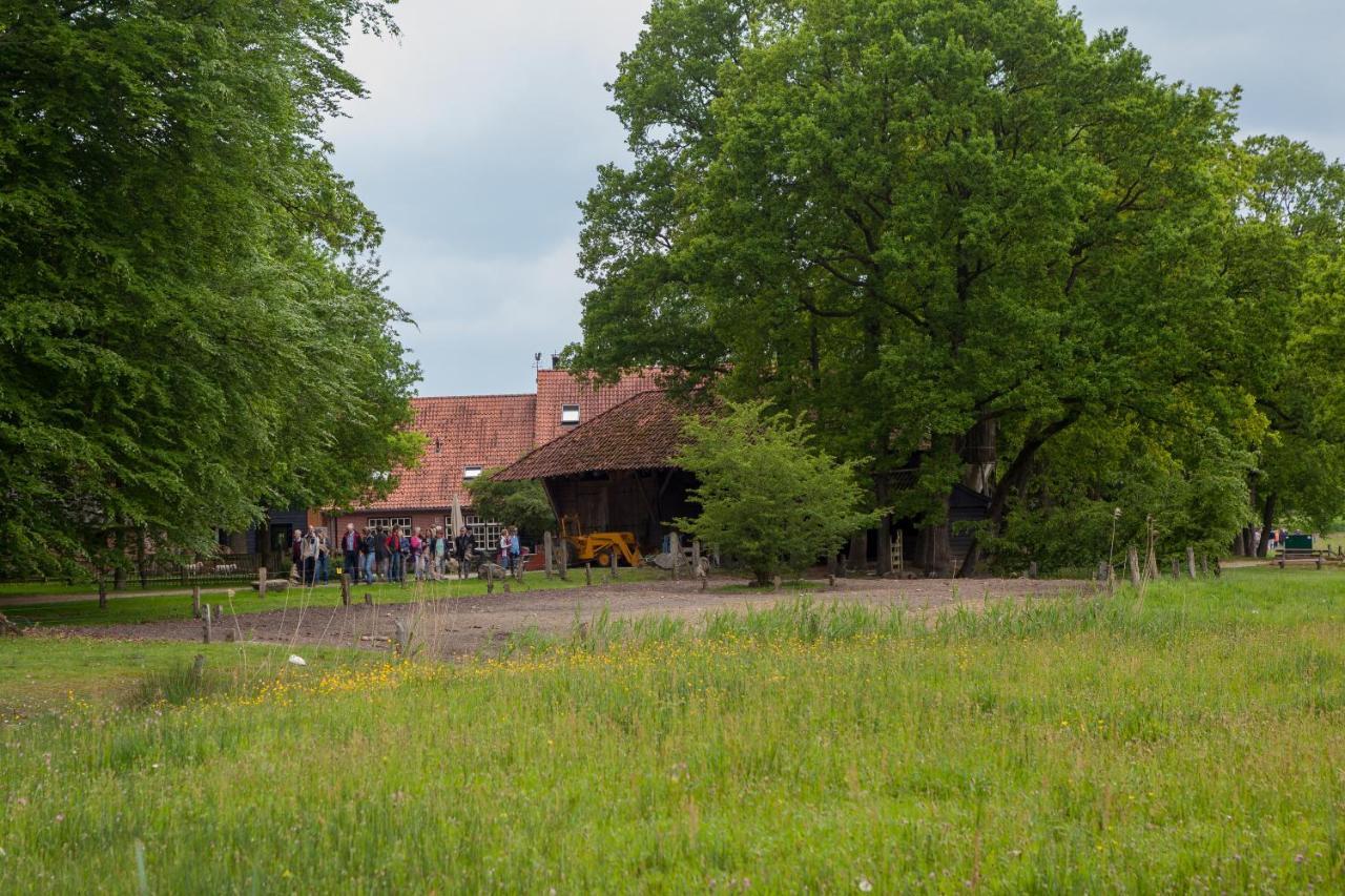 Bed&breakfast Hoeve Springendal Hezingen Exterior foto