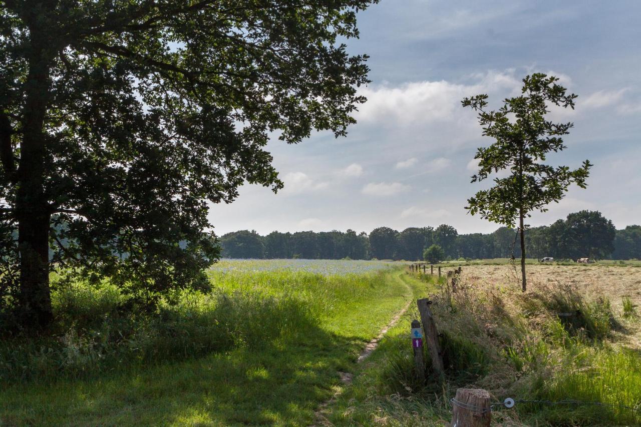 Bed&breakfast Hoeve Springendal Hezingen Exterior foto